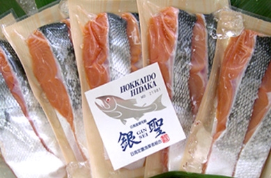 【期間限定】日高産 “銀聖”生鮭切身 2切（160g）×5パック〈冷蔵〉