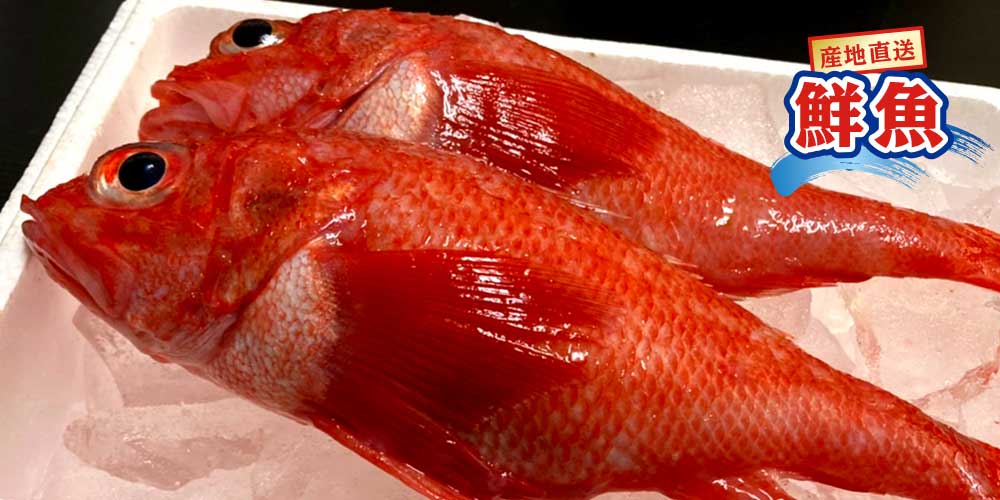日高 根昆布だし（魚々紫配合） 300ml その他 鮭・いくら・北海道食材の通販サイト｜マルデンマート