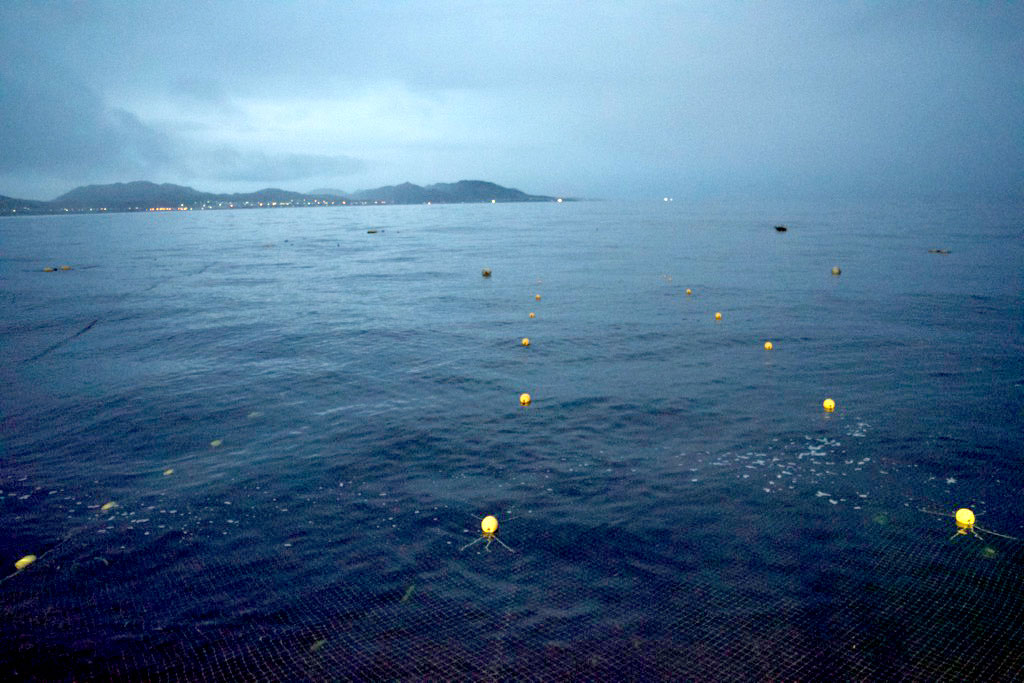 日高の海