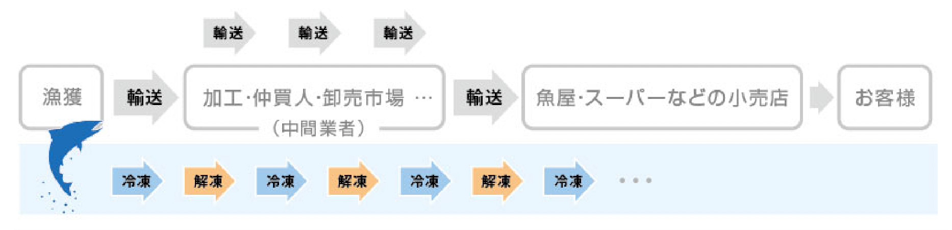 輸送工程イメージ図